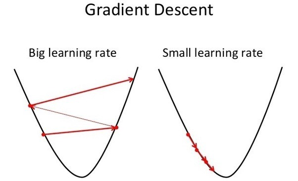 Learning Rate